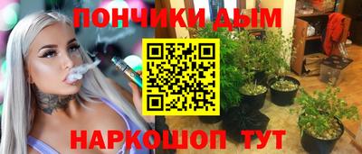 шишки Будённовск