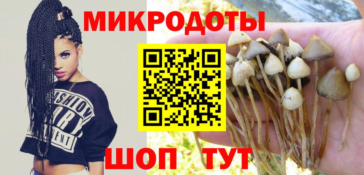 Новочебоксарск  Псилоцибиновые грибы прущие грибы  Вход с VPN 