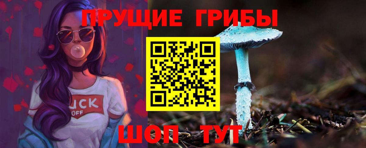 Галлюциногенные грибы Psilocybine cubensis Новочебоксарск